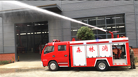 ���������ɭ����������ˮ��Ƶ�����ʵ�ġ�