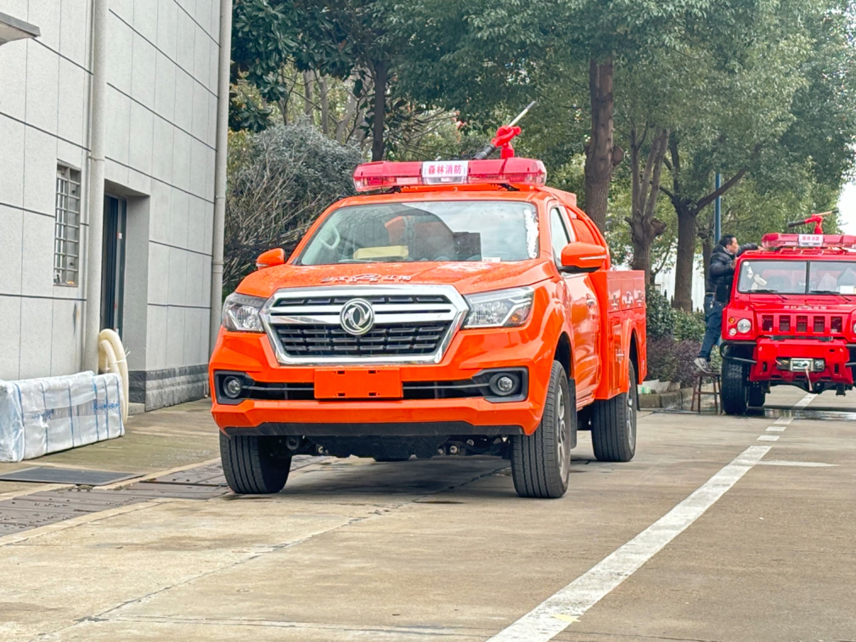 ���絥������2��ɭ�ֹ�ˮ������