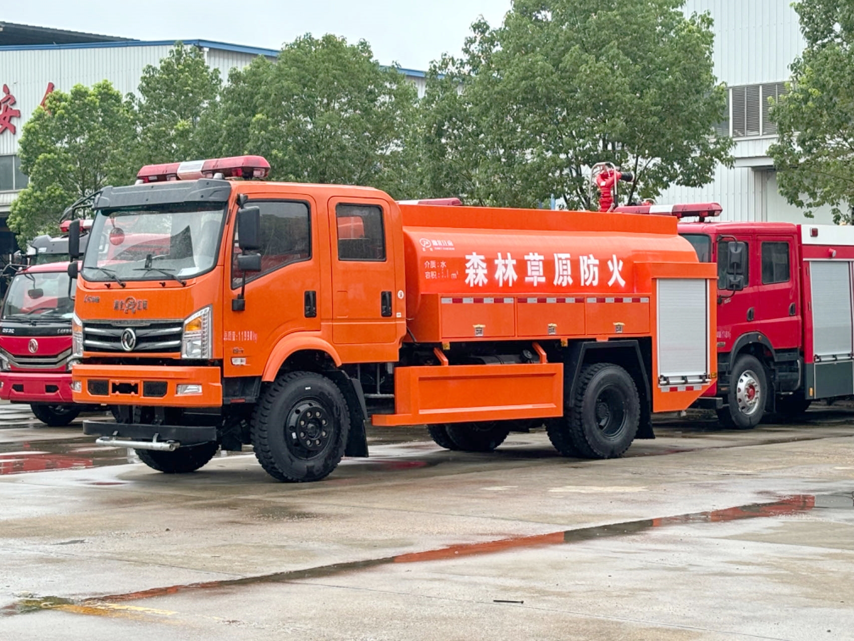 ����5-6������ɭ��������ˮ��