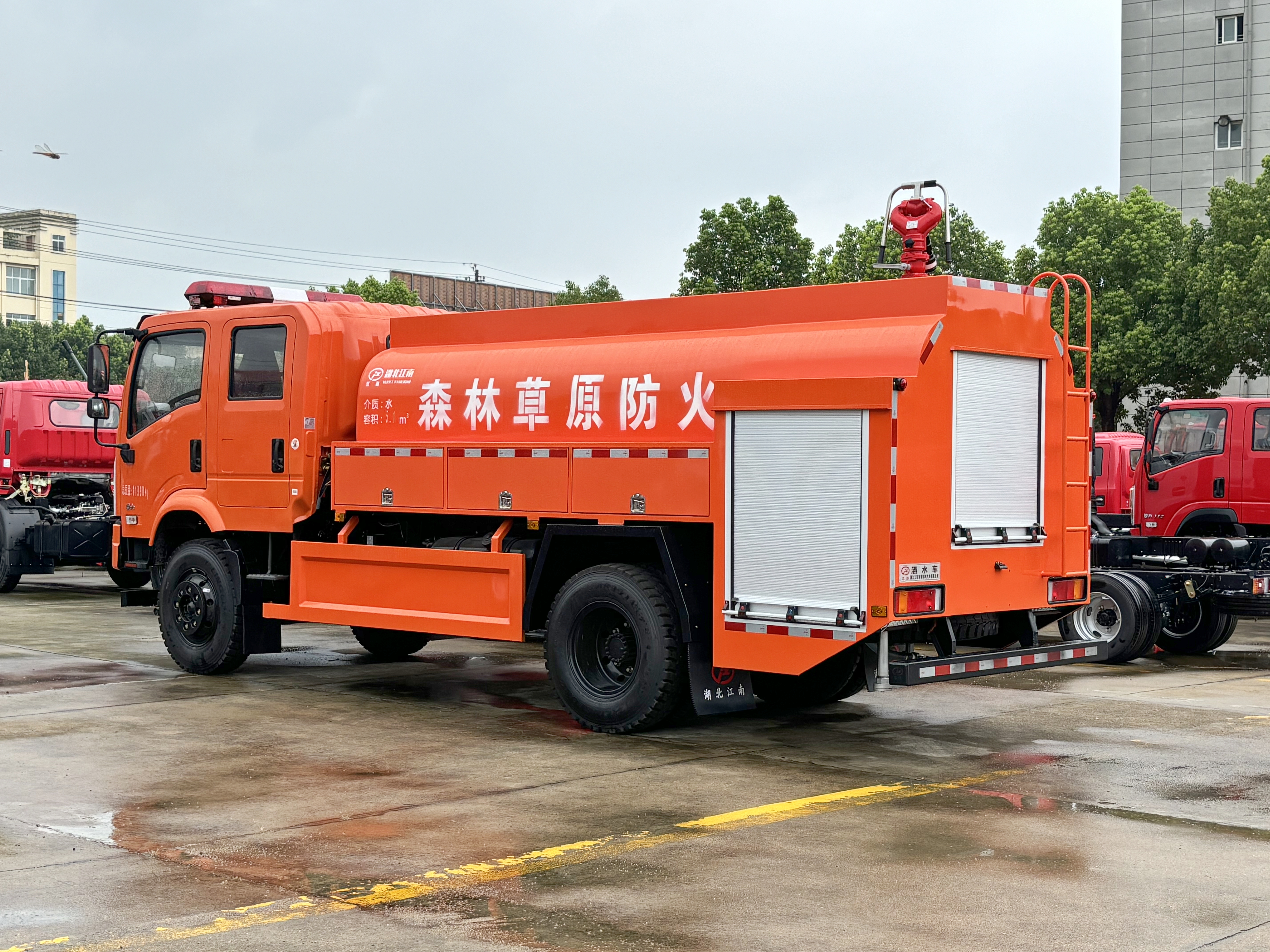 ����5-6������ɭ��������ˮ��