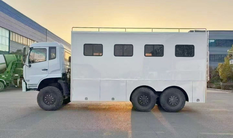 ��������28��6��6�˱������������뱨��